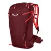 Salewa MTN Trainer 2 22 W Rucksack (tawny-port)