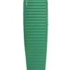Thermarest Trail Pro Regular Isomatte (pine)